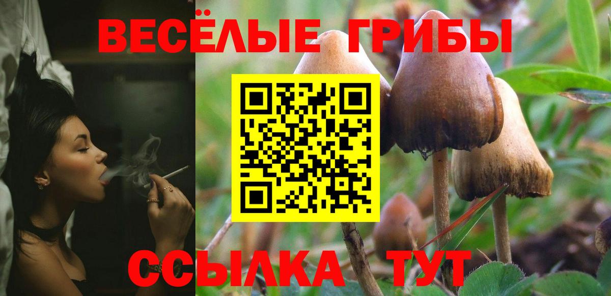 Калуга  Псилоцибиновые грибы мухоморы  Вход с VPN 