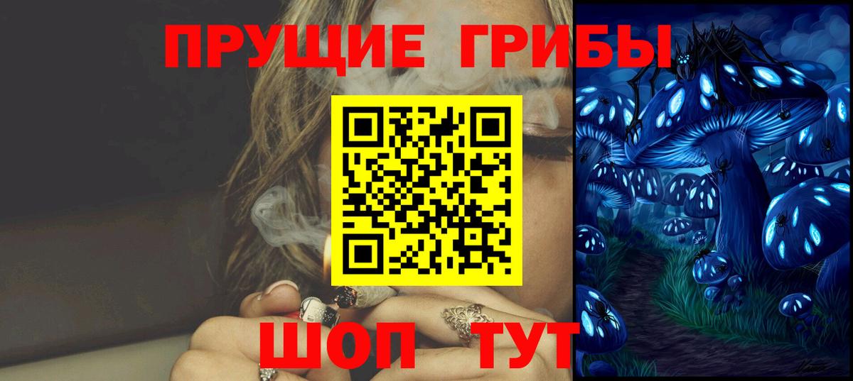 Псилоцибиновые грибы Psilocybine cubensis Калуга
